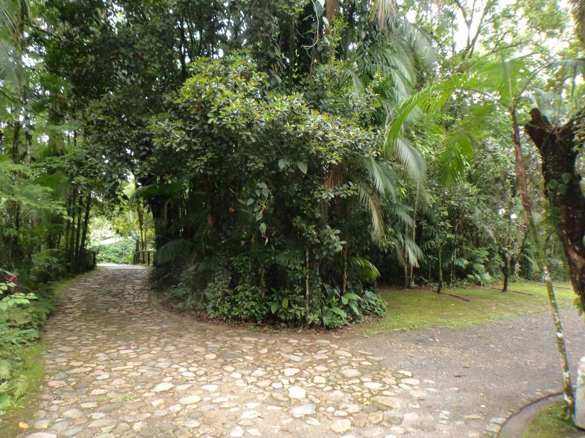 Pousada Itupava Morretes Exterior photo